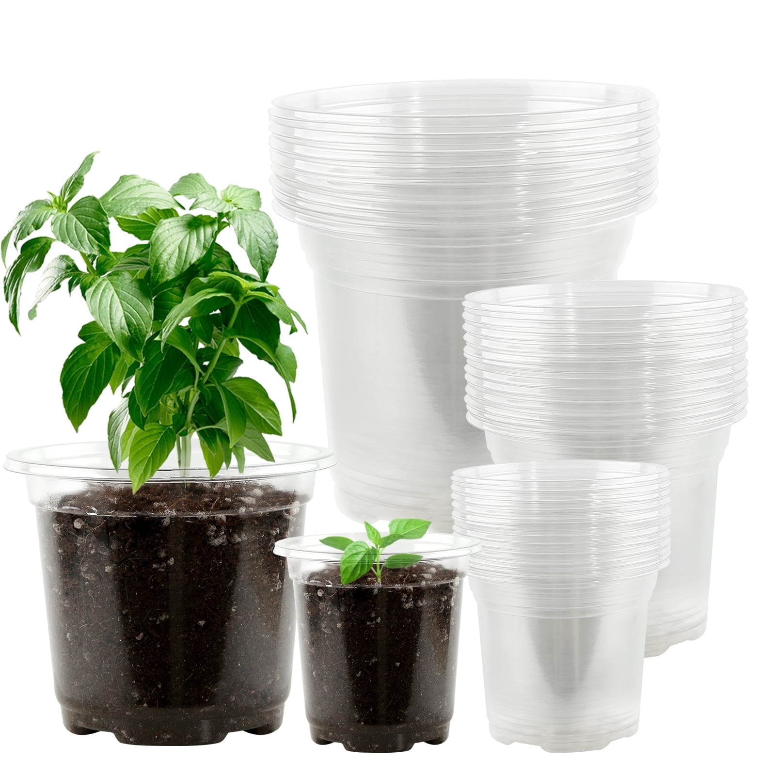 Fabulas Clear Nursery Pots Variety Pack, 32 Pack 5/4/3.5 inch Seedling Pot, Reinforced Plastic Planting Pot, Seed Starting Pot with Drainage Holes for Plants
