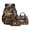 Brown and Eed - Wolf American Flag, variant on DISNIMO Boys Backpack, Dinosaur Print 3Pcs School Backpack Set with Lunch Bag & Pencil Case, 17 Inch Lightweight School Bag Travel Bookbag Daypack-