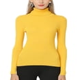 thumbnail image 1 of Chemise à Manches Longues pour Femmes Décontractée Couleur Unie Thermique Col Roulé Chemises Blouse Noir 3TG, 1 of 2