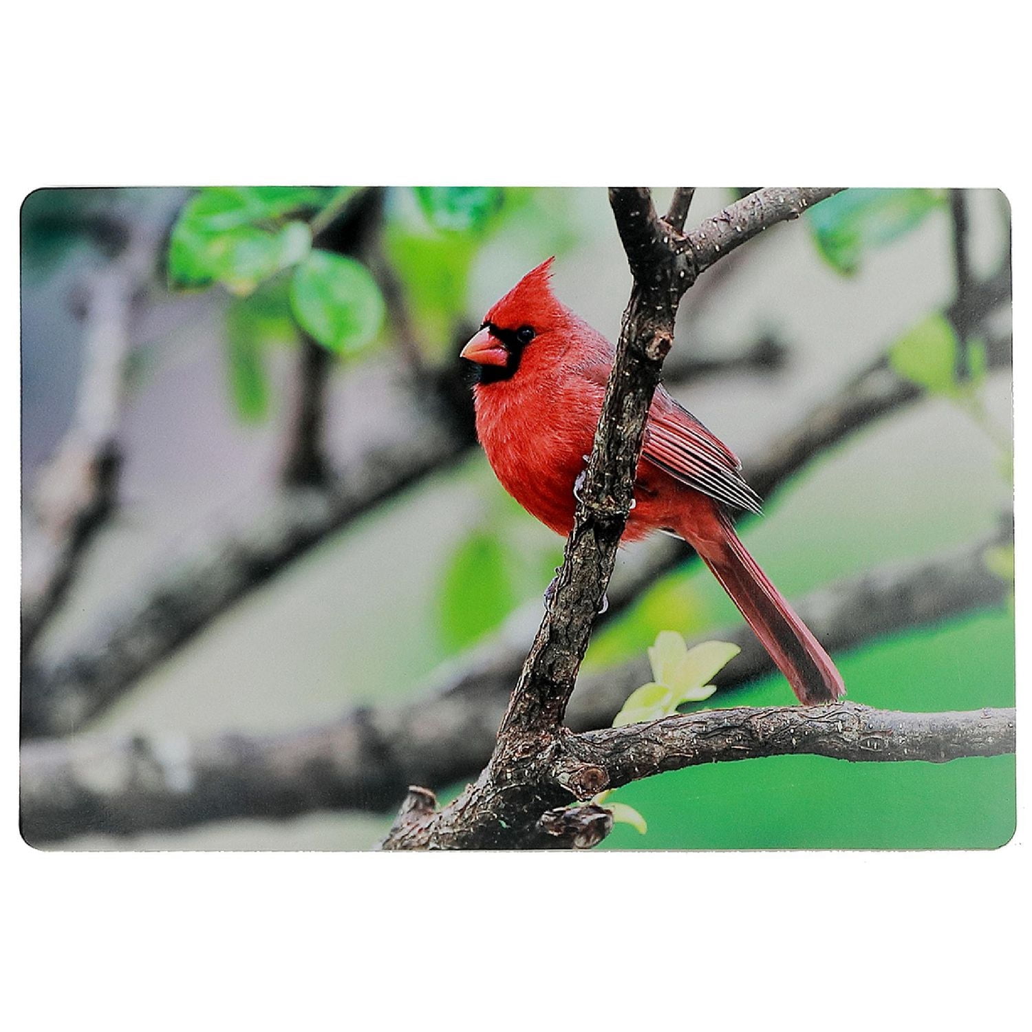 Placemat En Plastique Cardinal 12 X 18 - Ensemble De 12