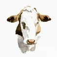 thumbnail image 3 of Caroline, Emma 12x12 Black Modern Framed Museum Art Print Titled - Watercolor Bovine I, 3 of 5