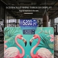 thumbnail image 3 of High Precision Body Weight Scale Smart Bathroom Scales with Large LCD Display(400lbs),Decorative for Bedroom-Pink Flamingos In The Tropical Jungle, 3 of 4