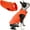 Pumpkin, variant on Fleece Vest Dog Sweater , Warm Pullover Fleece Dog Jacket with O-Ring Leash - Winter Small Dog Sweater Coat - Cold Weather Dog Clothes for Small Dogs Boy or Girl