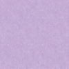 York Wallcoverings Peek-A-Boo Small Polka Dot Wallpaper