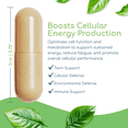 Return Healthy Cell Nutrients Vitamin B-Complex, Metabolism Support ...