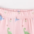 thumbnail image 5 of Baby Girl Outfits 2 Piece Dinosaur Print Crew Neck Long Sleeve Top And Trousers Loungewear Baby Girls' Clothing Sets 3 Years-4 Years, 5 of 9