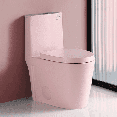 GINOST 1.1/1.60 GPF Dual-Flush One Piece Toilet, Water-Saving Elongated Comfort Height Floor Mounted, Soft Close 1000 Gram Map Flushing Score Toilet, Rose 23T01-RS