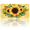 Sunflowers, variant on 1 Pcs 2D Flat License Plate Covers & Frames, A Field of Flowers For Decorative Front, Waterproof For Decoration Aluminum License Plate Covers & Frames Cover For Men Women, 12" X 6"