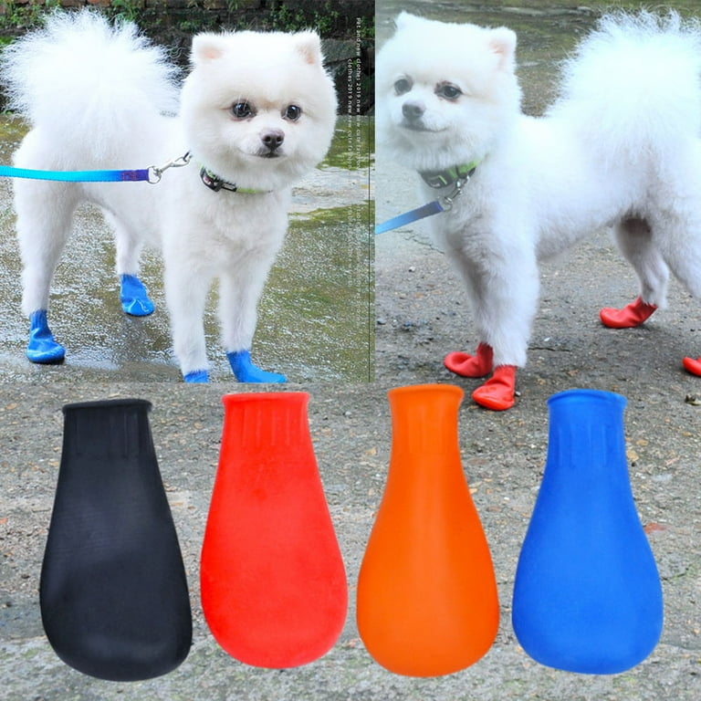 Pomeranian booties clearance