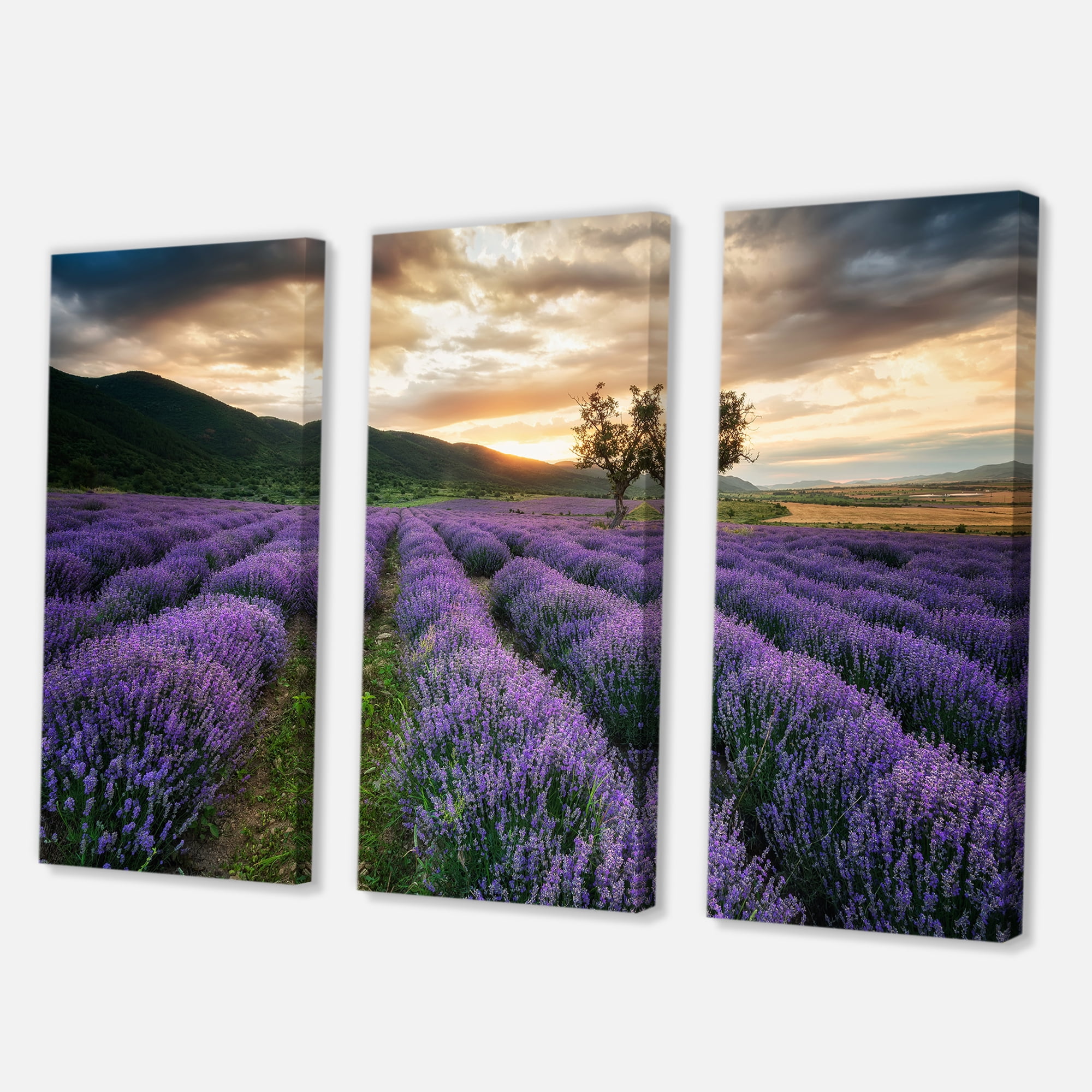 Designart ' Dramatic Clouds and Sunrise Over Lavender Field VII ' Farmhouse Canvas Wall Art Print
