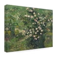 thumbnail image 4 of Van Gogh 'Roses' Canvas Art, 4 of 4