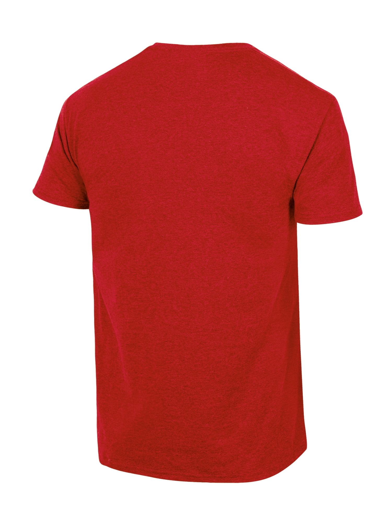 NCAA Men's Ohio State Buckeyes Triblend Laurel Logo Tee