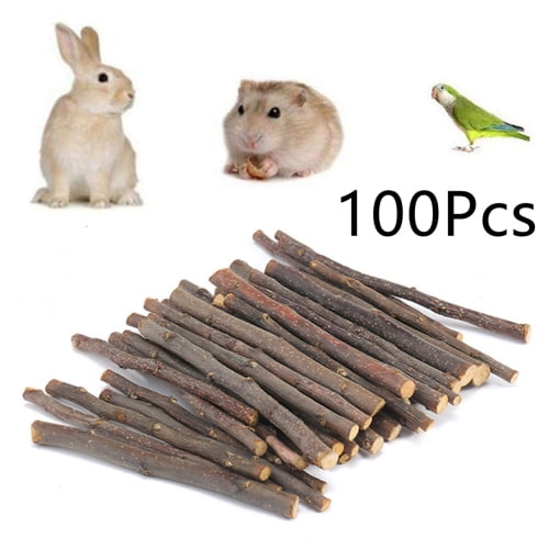 Trayknick 20/40/60Pcs Pet Bunny Hamster Rabbit Chew Sticks Apple Tree