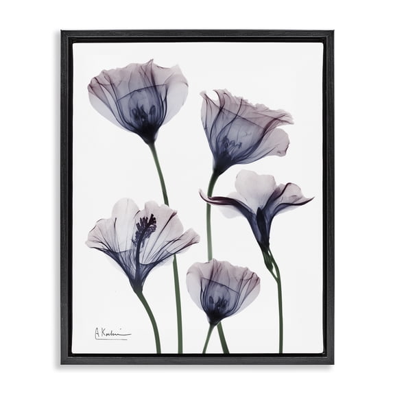 Stupell Industries Subtle Fresh Flowers Floral Photography Black Floater Framed Canvas Art Print Wall Art, 17 x 21