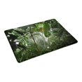 thumbnail image 2 of MKHERT Tropical Rainforest Scene Misty Palm Tree and Jungle Doormat Rug Home Decor Floor Mat Bath Mat 23.6x15.7 inch, 2 of 3