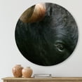thumbnail image 2 of Designart 'Close-Up Of Eye Fighting Bull Head ' Farmhouse Circle Metal Wall Art 23x23 - Disc of 23, 2 of 5