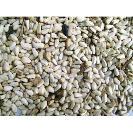 Shafer Seed Company 281640 25 Pound Safflower Seed
