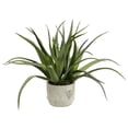 thumbnail image 1 of Vickerman FE181501 Pot Rond en Béton Vert Aloe 19.5 Po, 1 of 2