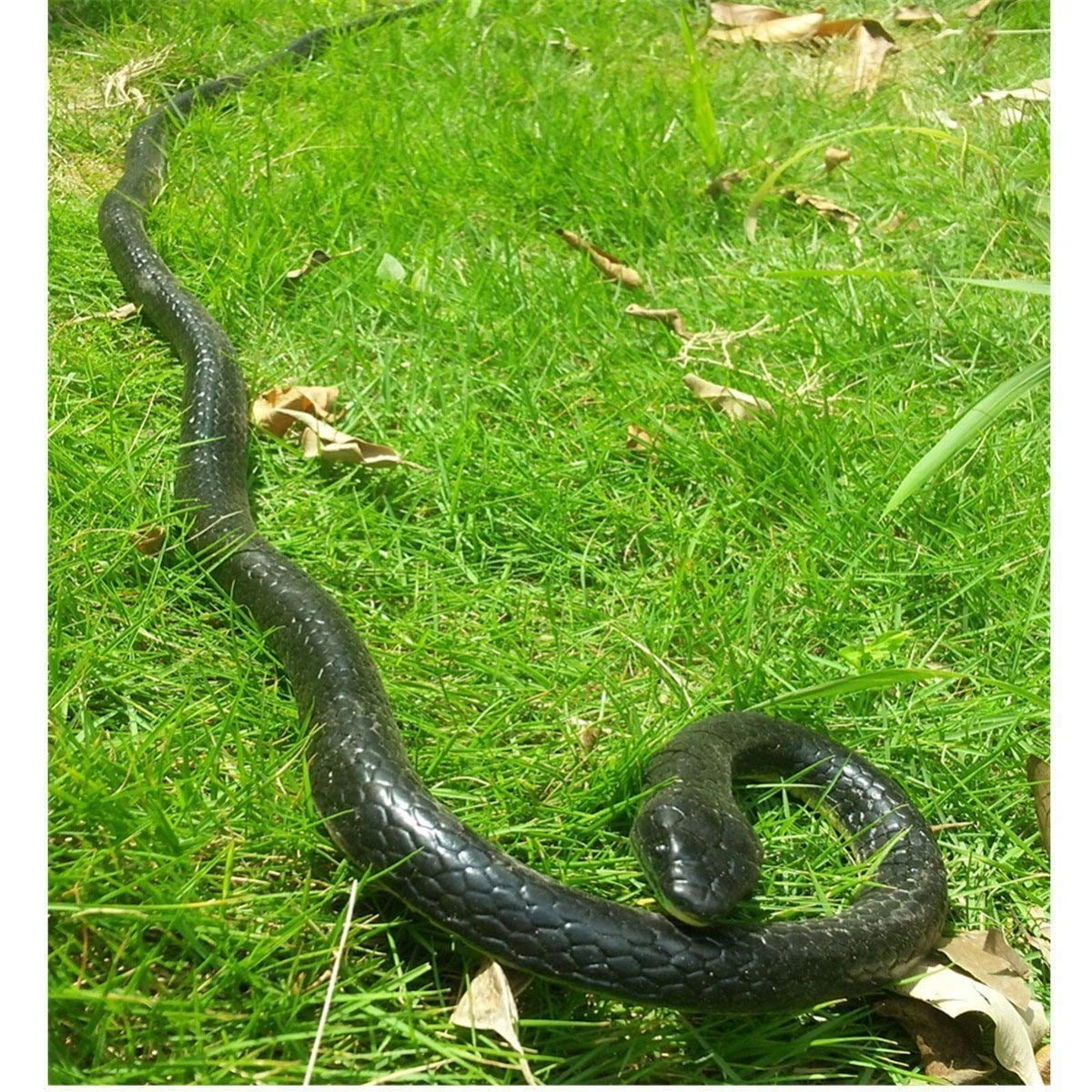 lifelike snakes for sale