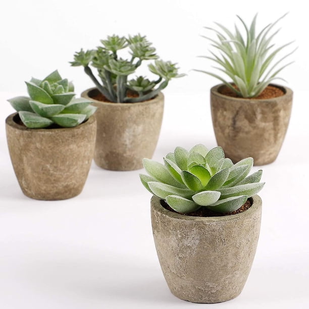 Suculentas Artificiales, Plantas Artificiales, Decoraciones De Pared, Conjuntos Combinados De