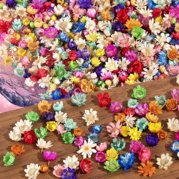 280Pcs Small Dried Flowers for Resin- Colorful Real Natural Mini Dried Flowers for Crafts, Tiny Dried Pressed Flowers for DIY Jewelry, Candle, Soap Making