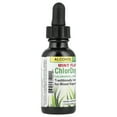 thumbnail image 5 of Herbs Etc - ChlorOxygen Chlorophyll Concentrate Professional Strength Alcohol Free Mint - 1 fl. oz., 5 of 6