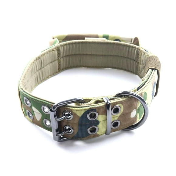 Designer leopard print dog collar, adjustable pet collar