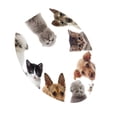 thumbnail image 1 of Bewildely Creative 3D Toilet Stickers Bathroom Decorative Decals Dog Cat Type3 NO3, 1 of 6