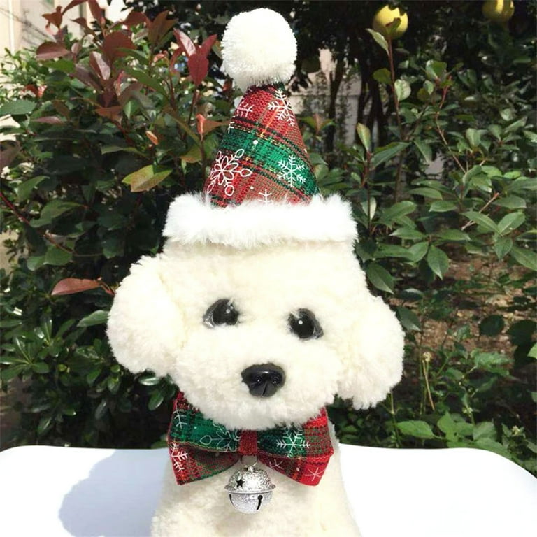 A Tail of Tinsel A Guide to Dog Christmas Accessories