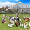 thumbnail image 4 of EastVita Large Metal Chicken Coop with Waterproof Cover 6FT Walk-in Chicken Runs for Yard Poultry Cage for Backyard Farm Garden, 4 of 7