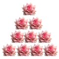 thumbnail image 1 of 10 Pieces Assorted Velvet Head Artificial Rose Flower for Wedding Decoration - Pink, 1 of 8