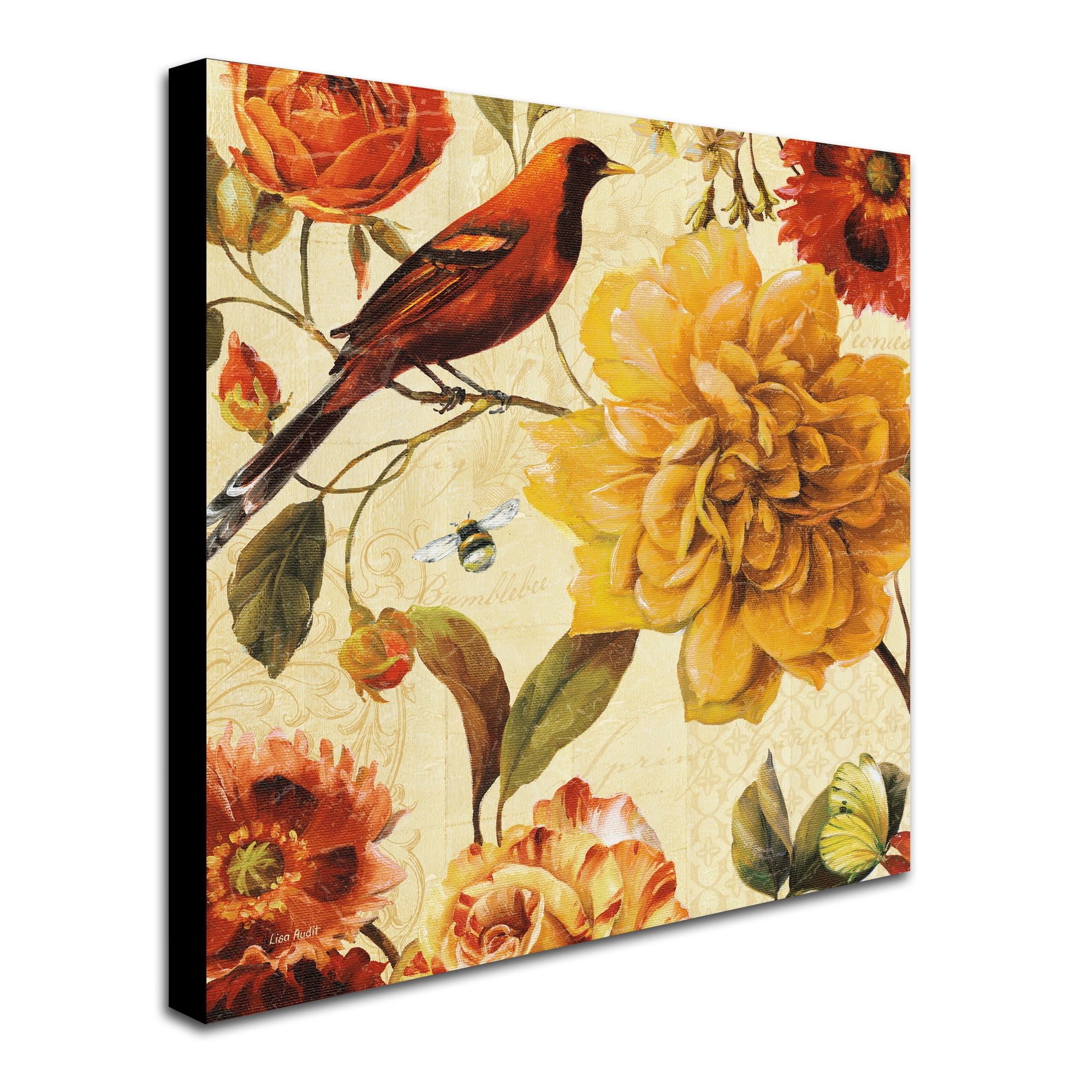 Trademark Fine Art "Rainbow Garden Spice II" Canvas Art by Lisa Audit