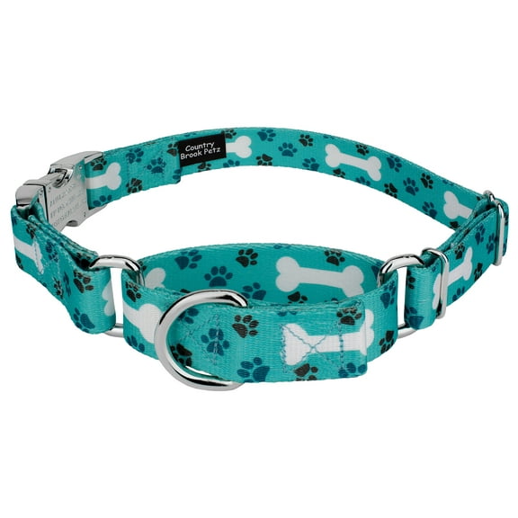 Country Brook Petz® Oh My Dog Martingale with Premium Buckle, Small