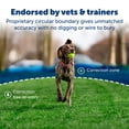 thumbnail image 2 of Valla inalámbrica para mascotas PetSafe Stay & Play para perros testarudos, 2 of 6