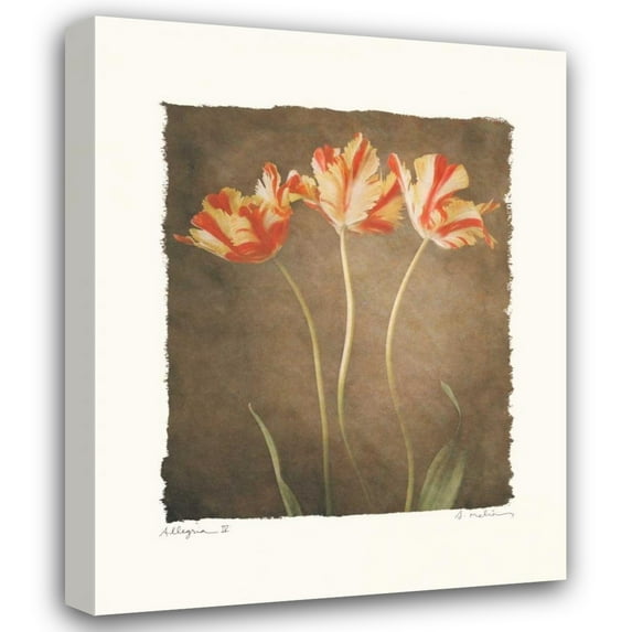 Amy Melious 20x24 Gallery Wrapped Canvas Wall Art Titled - Allegria IV