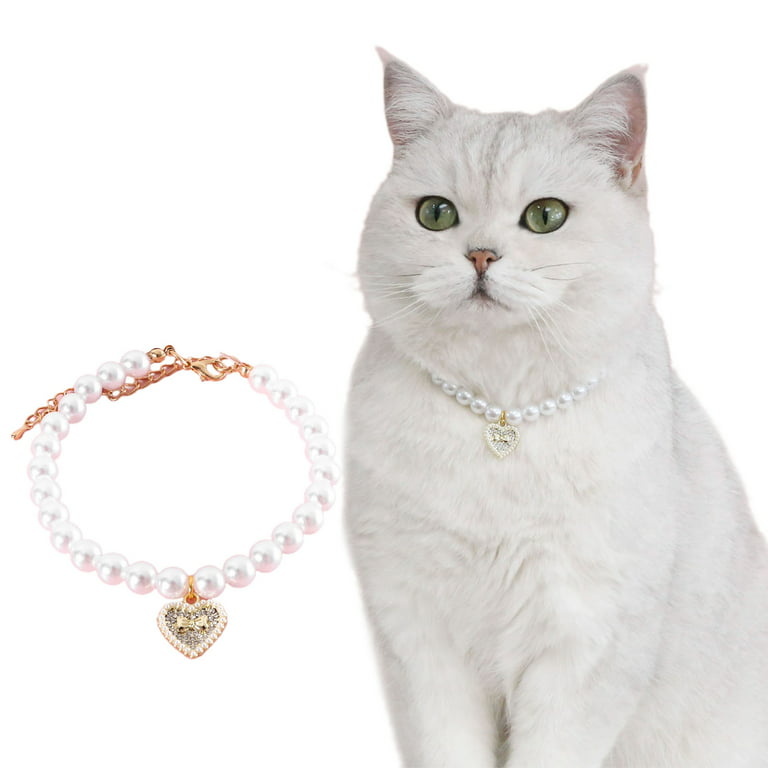 Is That The New Lace & Faux Pearl Decor Cat Collar ??