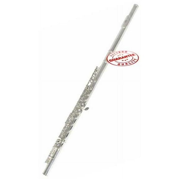 Hawk WD-F112, Closed hole C Flute with Case, Silver Plated