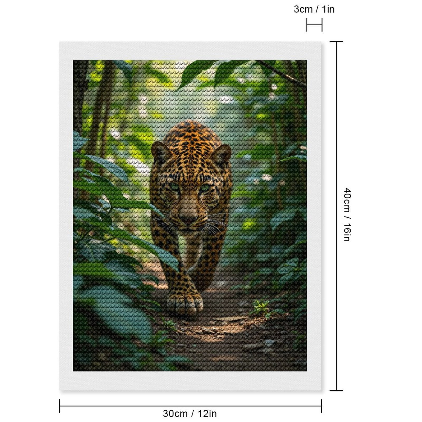 Diamond Art Kits for Adults, Leopard Jungle Pathway Nature Stroll 5D Diamond Painting Kits for Adults Beginners, DIY Full Drill Diamond Painting, Gem Art and Crafts 12x16