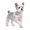 pink, variant on No Pull Dog Harness with Leash – Lightweight Breathable Reflective Pet Vest Harness for Small Medium Dogs, Adjustable No Choke Dog Harness for Walking
