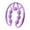 Purple, variant on Milaget Hand Held Muscle Roller for Legs 7 Wheels Manual for Calf Golfer Elbow Waist Gray