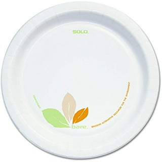 Solo White Foam Centerpiece Dinner Plate Case