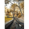 thumbnail image 2 of Orlando 23x32 White Modern Wood Framed Museum Art Print Titled - Stone Moat, 2 of 4