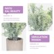 thumbnail image 4 of Artificial Bonsai Simulation Green Plants for Decoration 3Pcs Ornament, 4 of 4