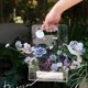 thumbnail image 3 of Florero de mano acrílico,Caja de flores transparente de alta gama,Cesta de flores portátil Arreglo floral Flor (jarrón de acrílico), 3 of 5