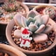thumbnail image 5 of 10pcs Navidad Mini Muñeco de nieve Resina Adornos de Resina XMAS Mini Muñeco de nieve Decoración DIY, 5 of 8
