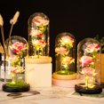 thumbnail image 1 of Regalo de San Valentín: luz nocturna LED de 3 rosas con domo de cristal, lámpara de decoración de 21 cm para dormitorio romántico, boda y aniversario, 1 of 6