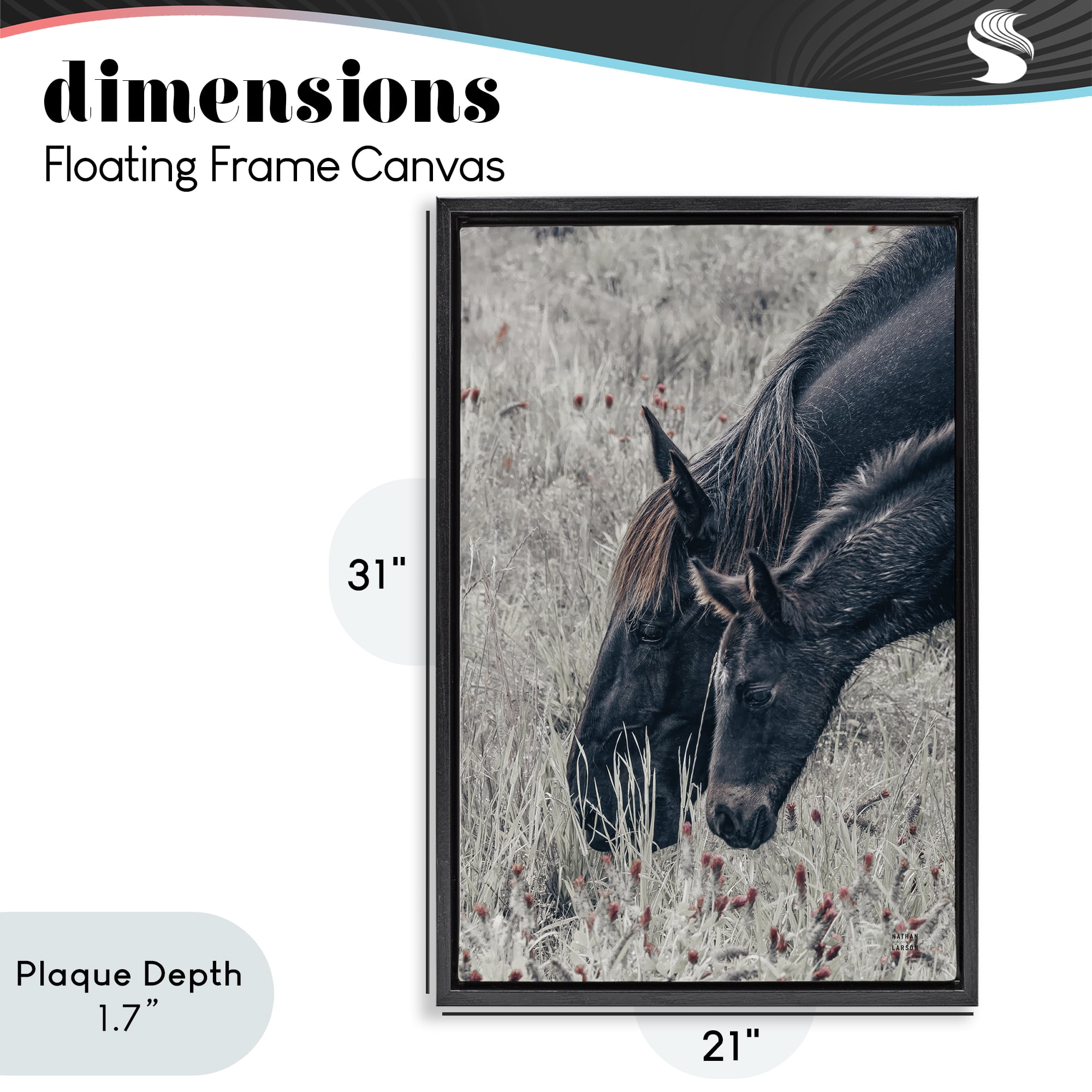Stupell Industries New Graze Horses in Meadow Black Framed Floater Canvas Wall Art, design by Nathan Larson