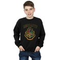 thumbnail image 2 of Harry Potter Boys Varsity Style Crest Sweatshirt, 2 of 3