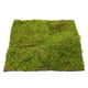 thumbnail image 5 of Mesa de arena con musgo artificial, tapete de musgo, tapete de musgo artificial, decoración de césped DIY, 5 of 6