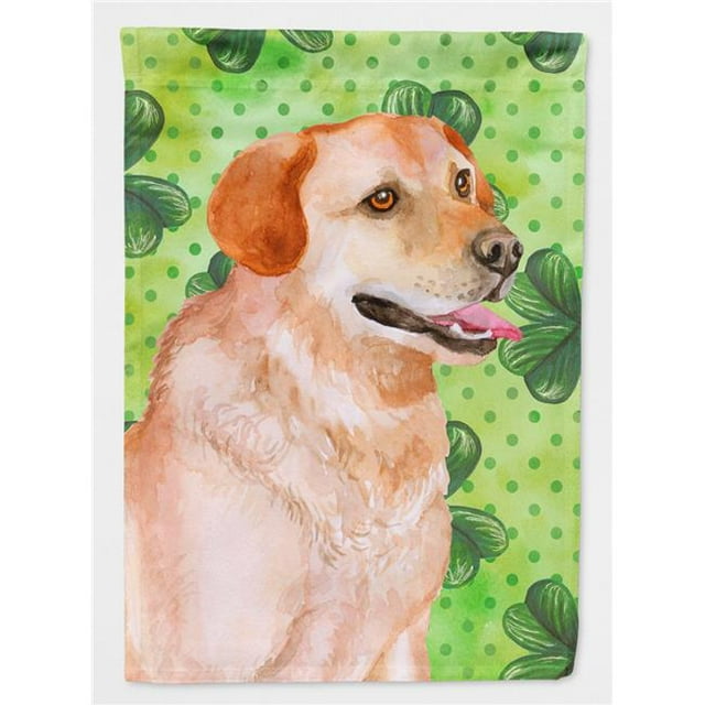 Carolines Treasures BB9888CHF Labrador Retriever Saint Patricks Drapeau Toile - Taille de la Maison